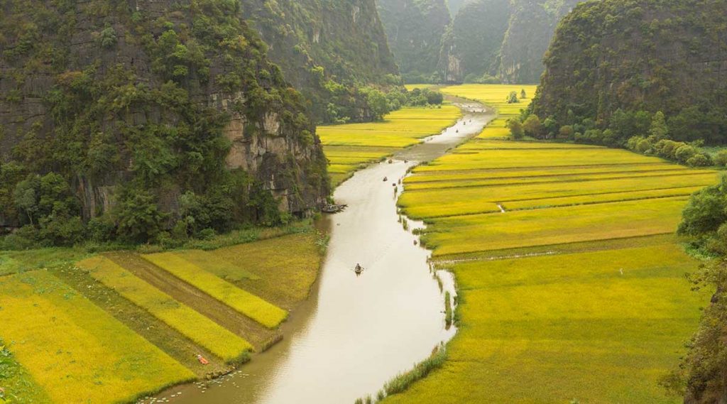 Ninh Binh rijstvelden