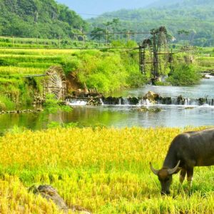 Pu Luong off the beaten track in Vietnam