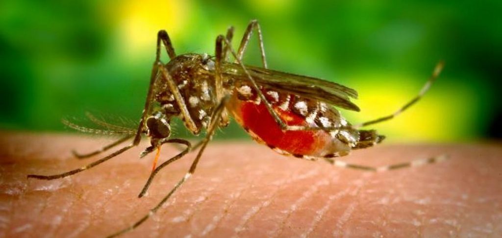 Malaria in Vietnam