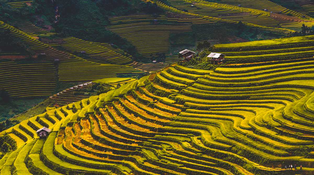 Mu Cang Chai tour