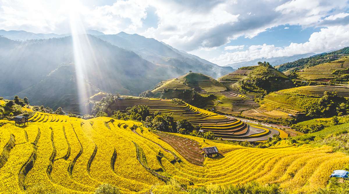 Mu Cang Chai tour