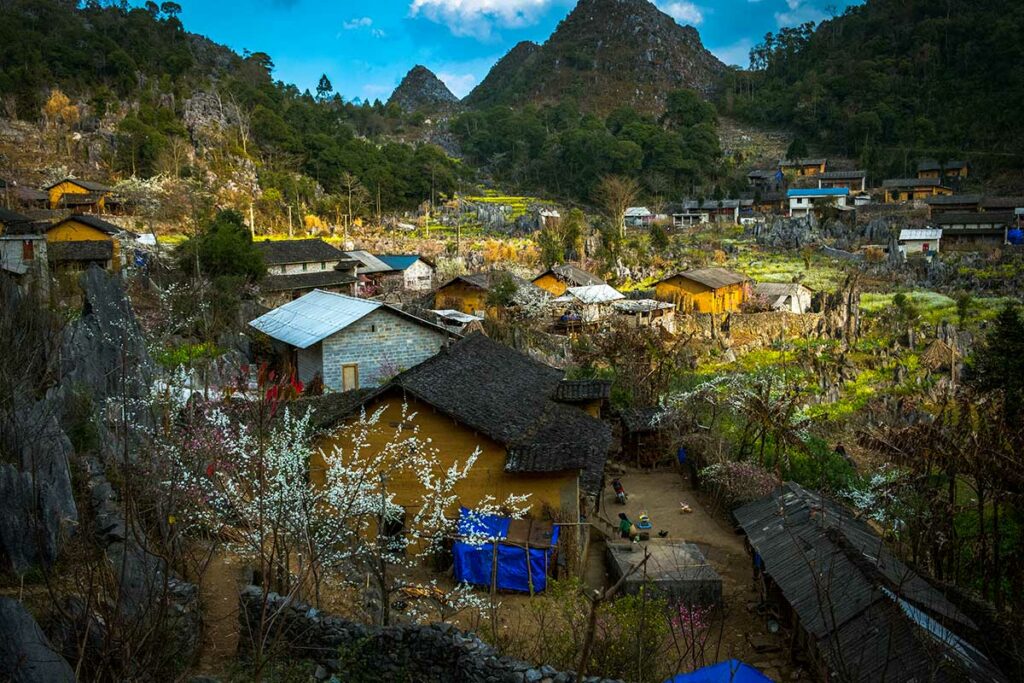 Traditioneel dorp in Sung La Valley met lemen huizen, bloesembomen en karstbergen op de achtergrond.