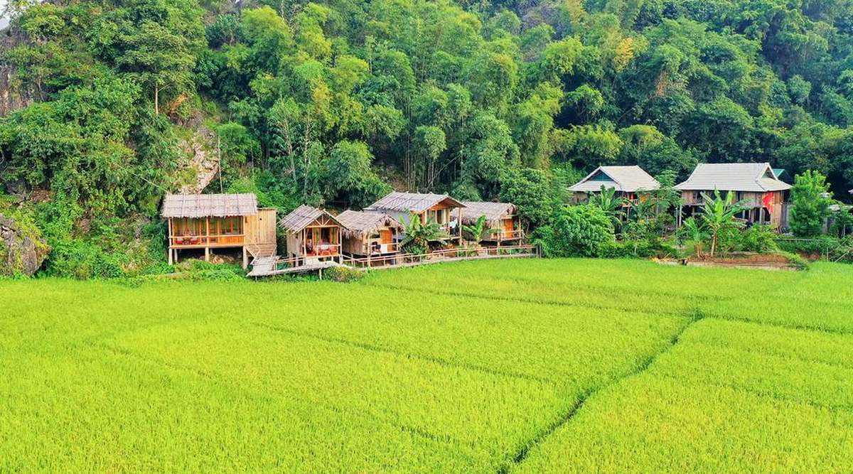 Mai little. Mai Chau.