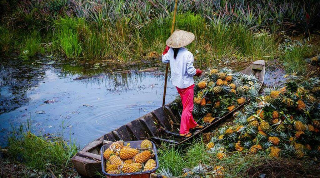 fruit Mekong Delta