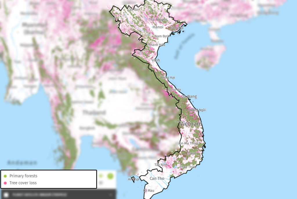 kaart van de jungle in Vietnam en ontbossing