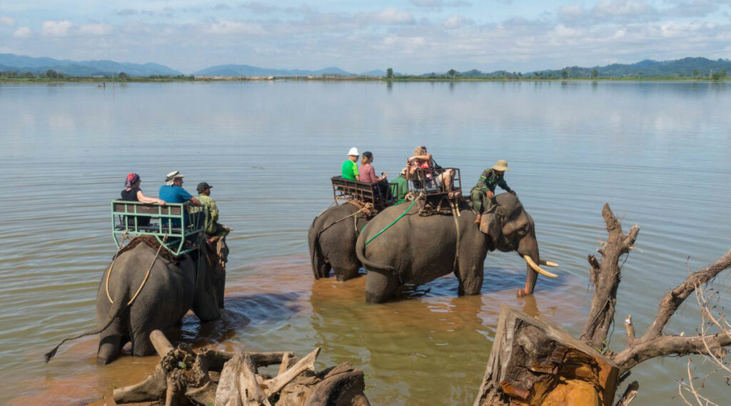 olifantenritje in Vietnam