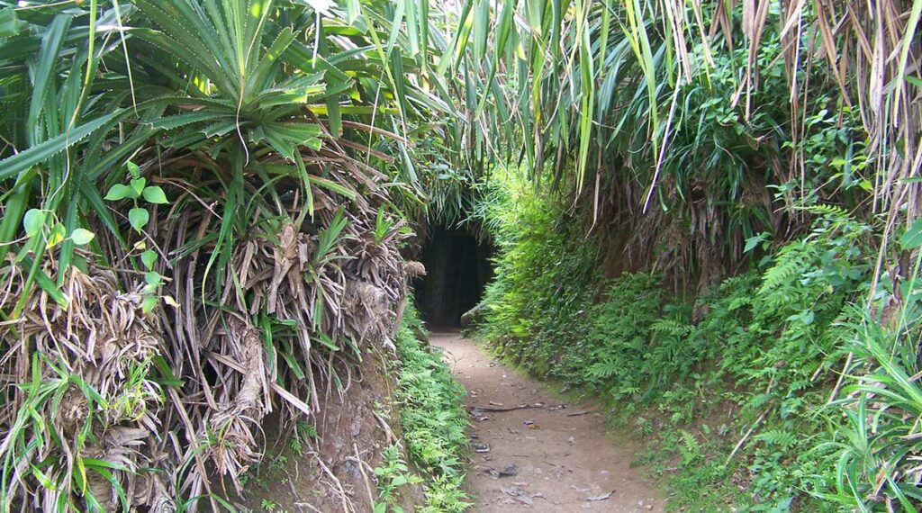verstopte ingang van de Vinh Moc tunnels