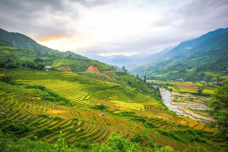 Ban Ho rijstvelden in Sapa