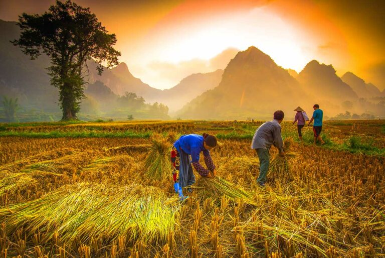 Cao Bang platteland