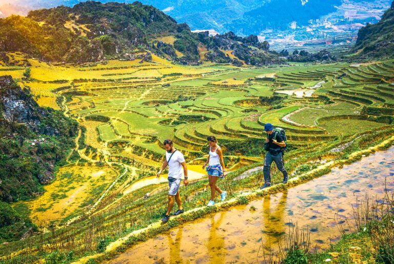 trekking in Sapa door rijstvelden