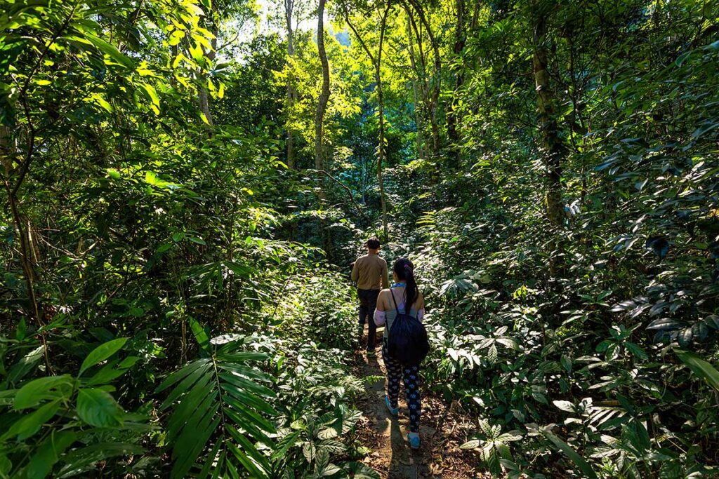 trekking door Cat Ba Nationaal Park