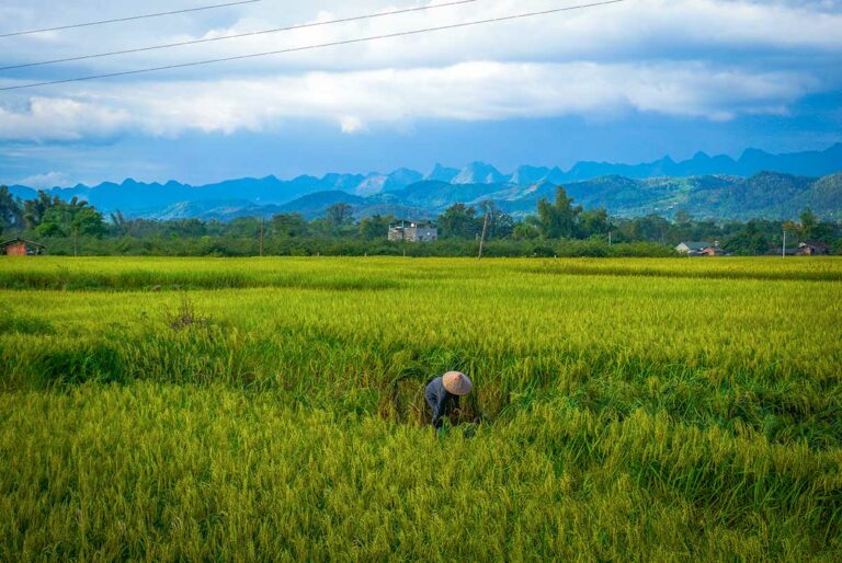 Cao Bang platteland