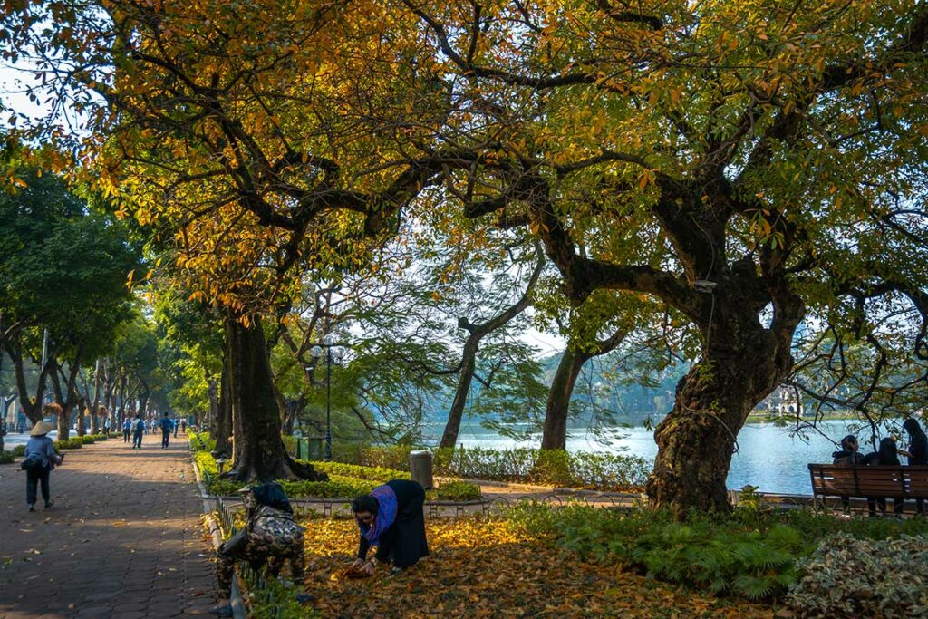 Herfst in Hanoi met verkleurde bladeren langs het Hoan Kiem Lake en aangename temperaturen