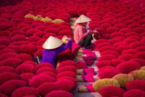 Lokale arbeiders sorteren en bundelen wierookstokjes tijdens het productieproces in Quang Phu Cau wierookdorp bij Hanoi.