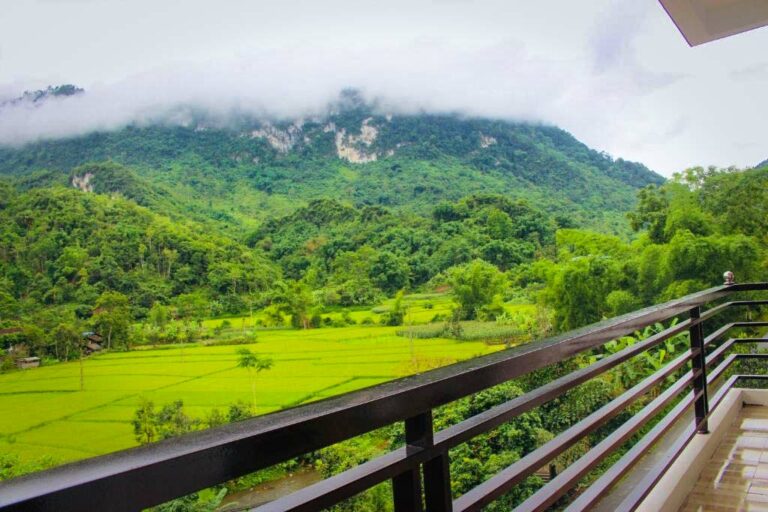Cyclists on a scenic pathway