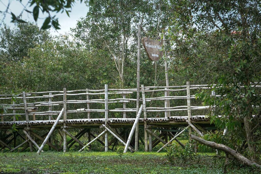 Bamboe wandelpad boven het moeras in Tra Su Cajuput Forest omringd door cajuputbomen