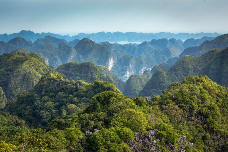 Uitzicht over de beboste kalksteenbergen van Cat Ba National Park, met golvende karstformaties en dichte jungle die het ruige landschap van Cat Ba Island kenmerken