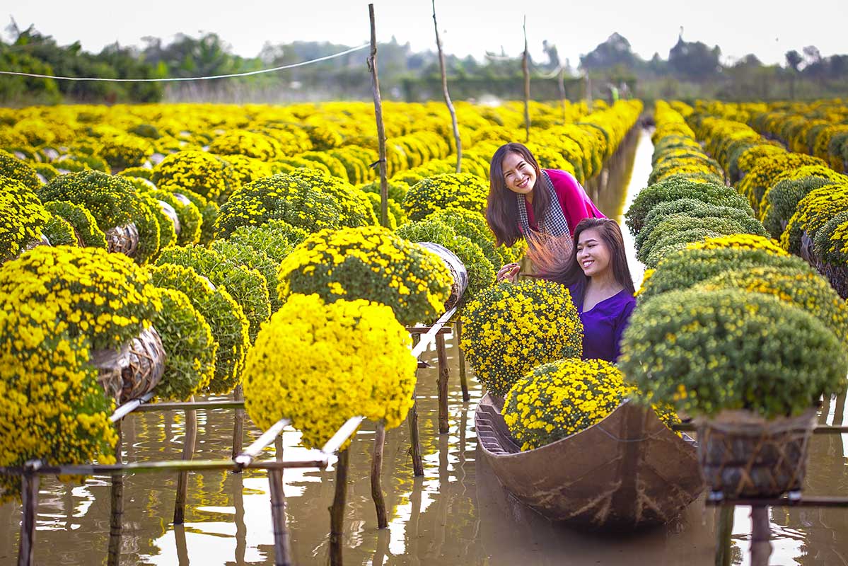 Vrouwen tussen gele chrysanten in Sa Dec Flower Village Mekong Delta