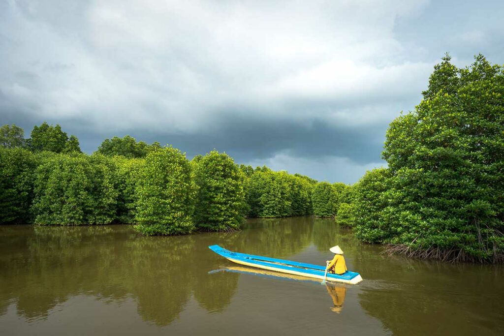 Kleine boot vaart door mangrovebos in Ca Mau Mekong Delta Vietnam