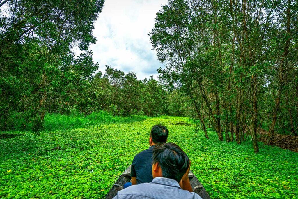Bezoekers maken een boottocht door dicht begroeide kanalen in Tram Chim National Park