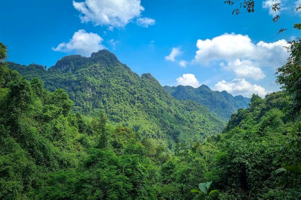 Uitzicht over dicht junglelandschap en kalkstenen heuvels in Phong Nha Nationaal Park vanaf de Botanic Garden