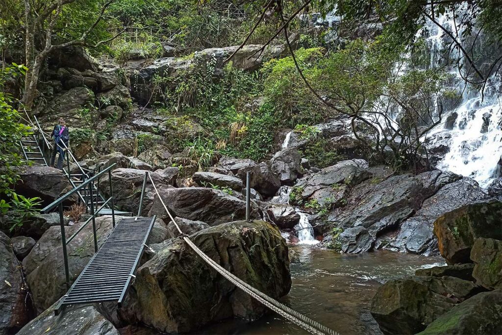 Wandelpad met metalen brug en touwen langs rotsen en water tijdens een jungletocht in de Phong Nha Botanic Garden
