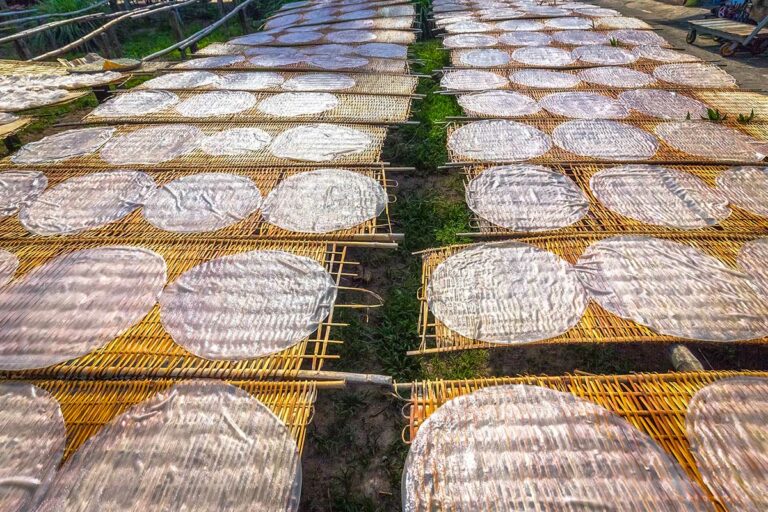 Rijstpapier dat ligt te drogen op bamboerekken in Can Tho, een traditioneel ambacht dat veel voorkomt in de Mekong Delta