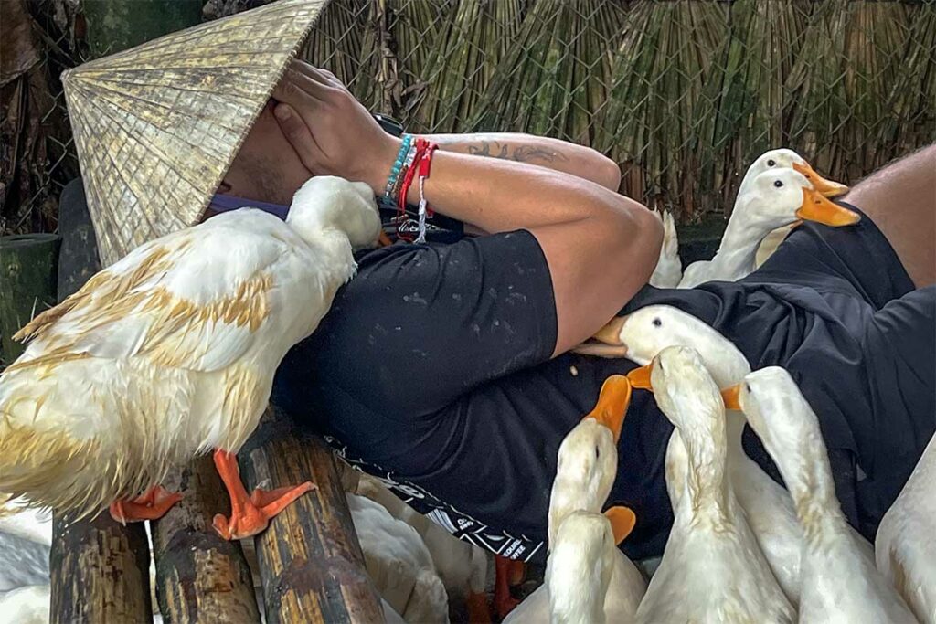 Bezoeker ervaart de bekende eendenmassage bij The Duck Stop in Phong Nha, waarbij eenden uit de hand eten.