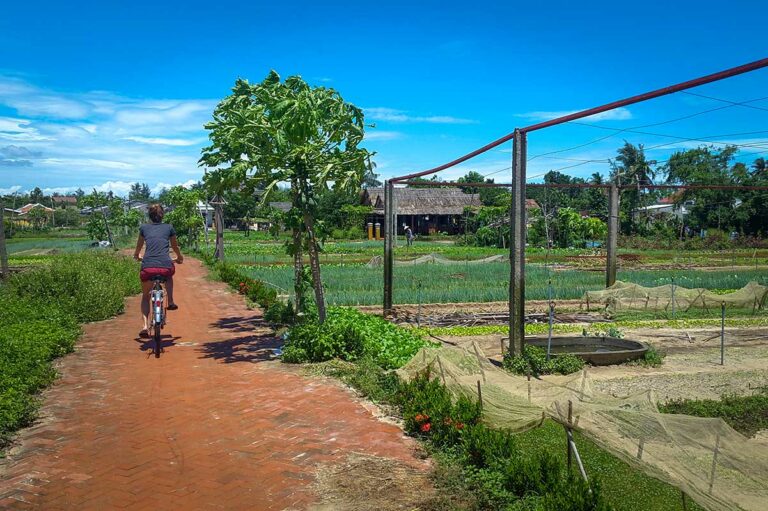 Fietsen door het Tra Que groentedorp bij Hoi An, over een smal pad langs moestuinen, kruidenbedden en lokale boerderijen in het platteland van centraal Vietnam