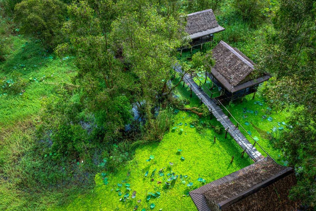 Houten vlonderpaden en hutten boven het natte landschap van Tra Su Cajuput Forest in Zuid-Vietnam