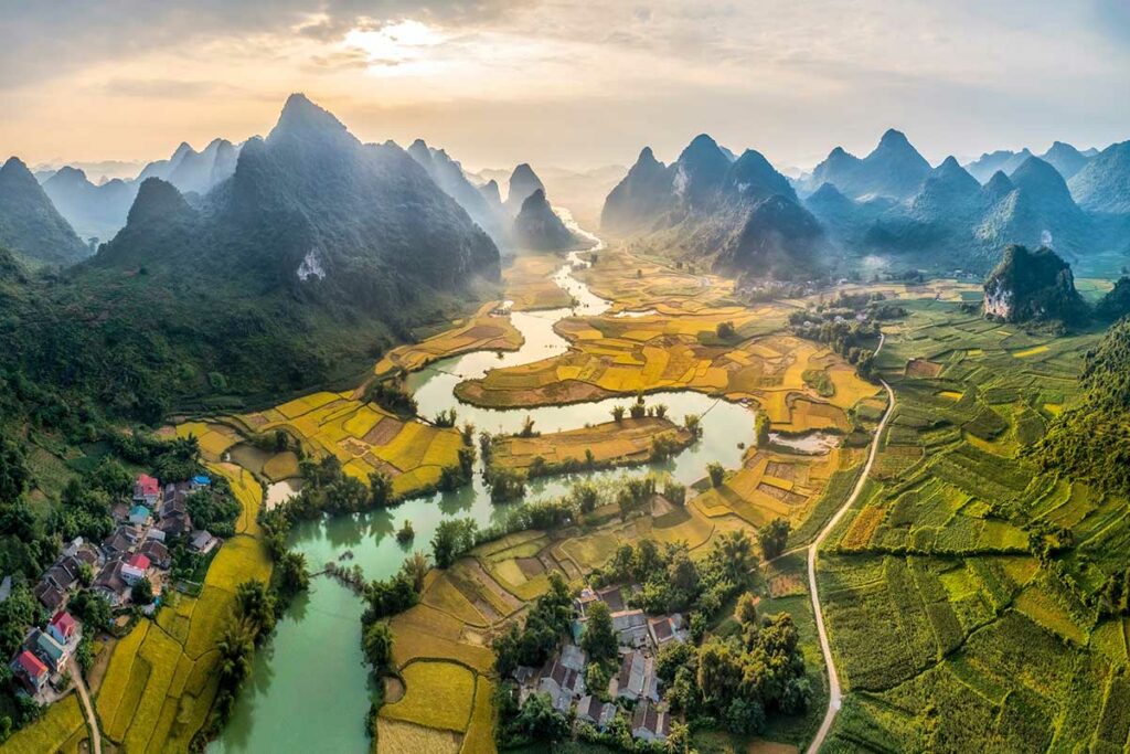 Luchtfoto van Phong Nam Valley in Cao Bang met kronkelende rivier, rijstvelden en kalkstenen bergen tijdens het oogstseizoen