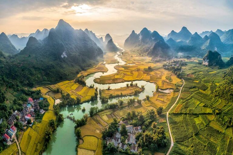 Luchtfoto van Phong Nam Valley in Cao Bang met kronkelende rivier, rijstvelden en kalkstenen bergen tijdens het oogstseizoen