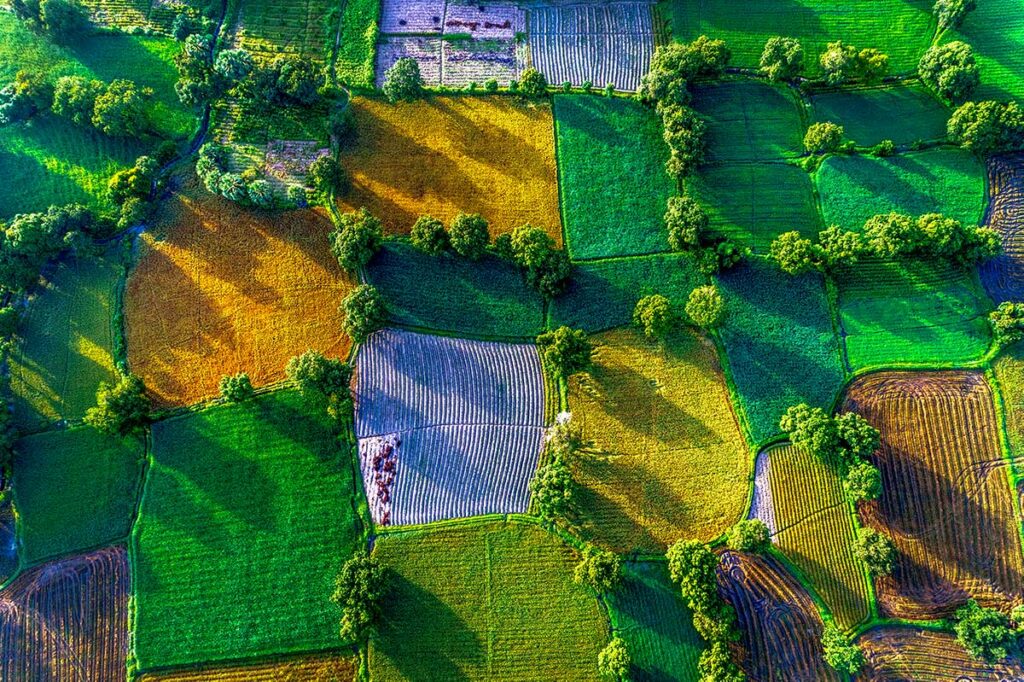 Luchtfoto van Ta Pa rijstvelden in An Giang Mekong Delta met groene en gouden akkers in patchwork patroon