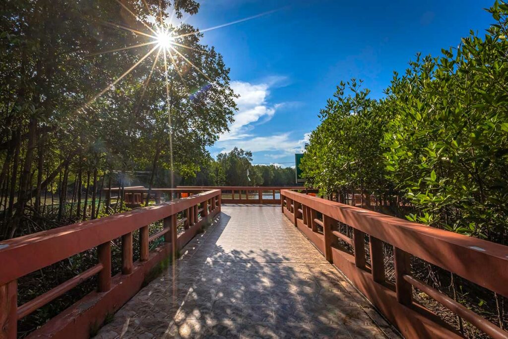 Wandelpad door mangrovebos in Mui Ca Mau National Park in de Mekong Delta Vietnam