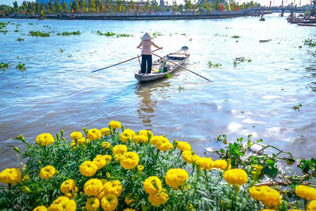 Boottocht in de Mekong Delta in de winter met lokale vrouw in traditionele hoed op een smalle houten boot tussen drijvende planten