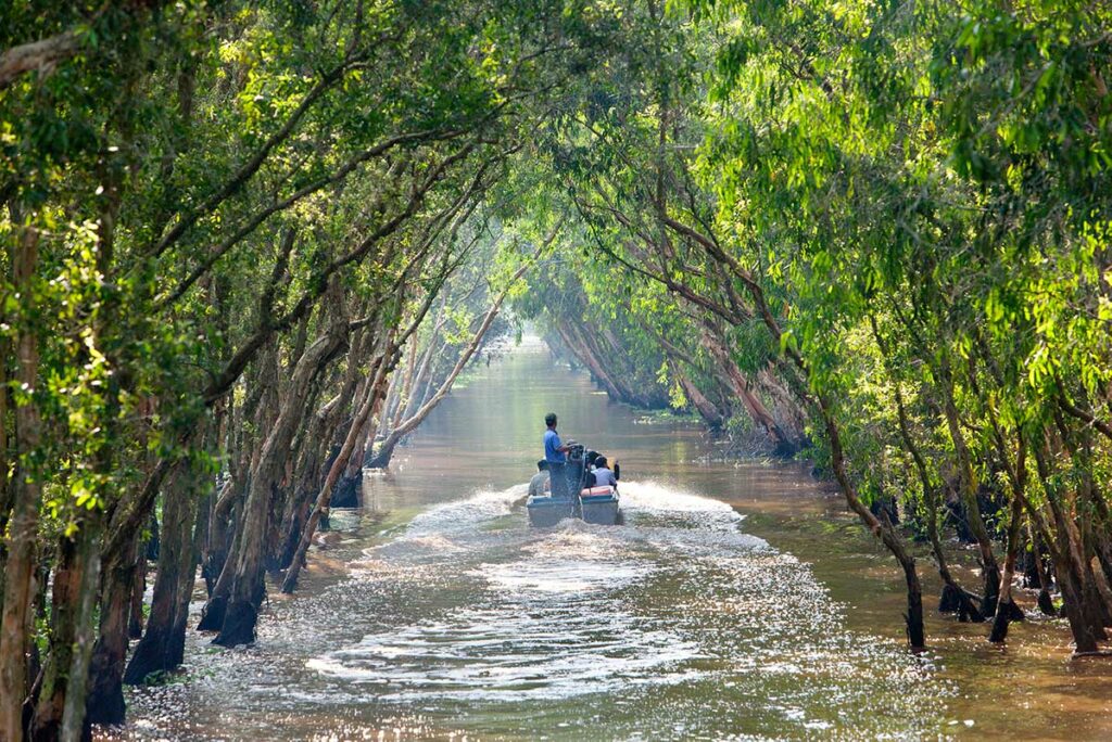 Motorboot vaart door ondergelopen cajuputbos in Tra Su Cajuput Forest met overhangende bomen in de Mekong Delta