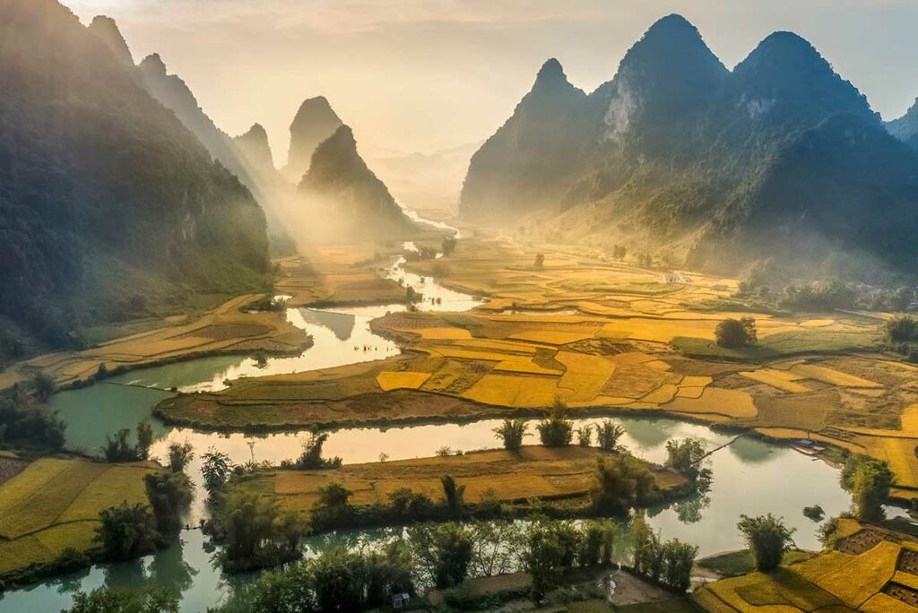 Gele rijstvelden tijdens het oogstseizoen in Phong Nam Valley, Cao Bang, met rivier en bergen bij zacht ochtendlicht