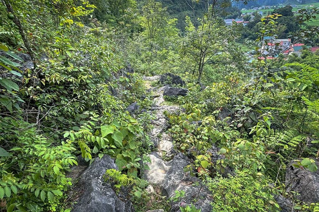Smalle en rotsachtige trekkingroute naar het Phong Nam Valley viewpoint, begroeid pad door dicht groen in Cao Bang