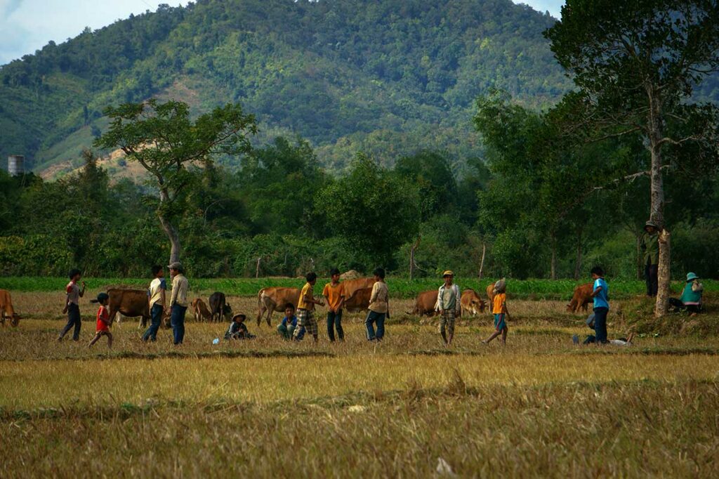 Plattelandslandschap in Dak Lak met lokale bewoners en vee, typerend voor het rustige leven in de Centrale Hooglanden langs de Ho Chi Minh Road.
