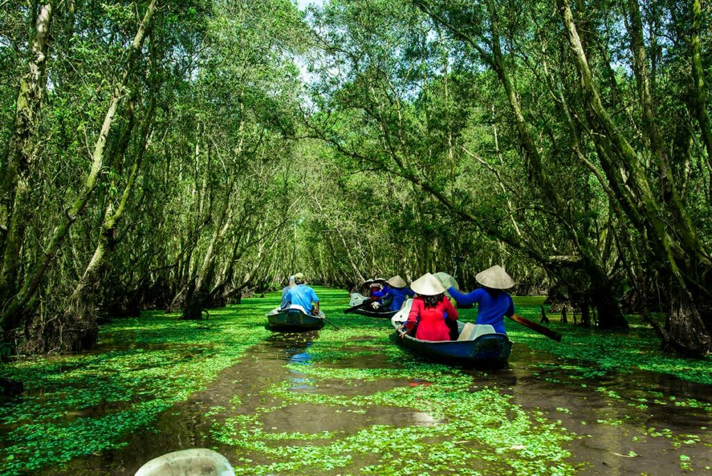 Toeristen in roeiboten met conische hoeden varen door smalle kanalen vol eendenkroos in Tra Su Cajuput Forest in de Mekong Delta