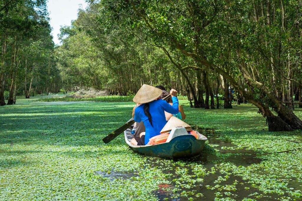 Sampan roeiboot glijdt door smalle waterweg met eendenkroos in Tra Su Cajuput Forest in de Mekong Delta