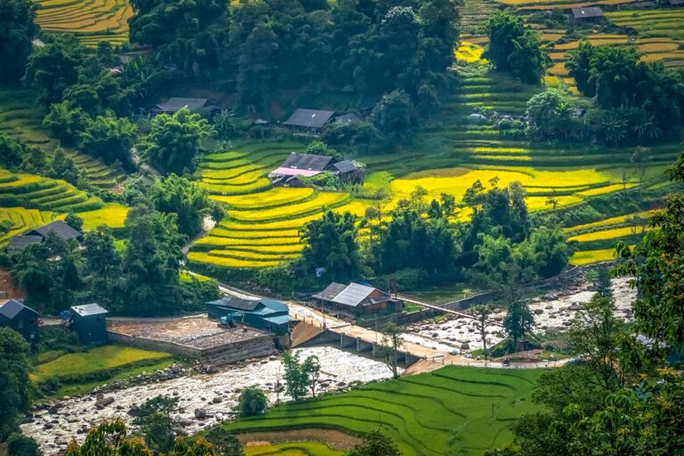 Uitzicht over de rijstterrassen van Y Linh Ho Village bij Sapa, met gouden en groene rijstvelden, houten huizen en een rivier die door het berglandschap stroomt