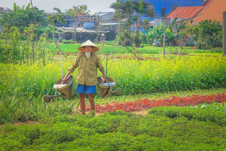 Lokale boer werkt in de groentetuinen van Tra Que Village bij Hoi An, met kleurrijke akkers, traditionele irrigatie en huizen op de achtergrond