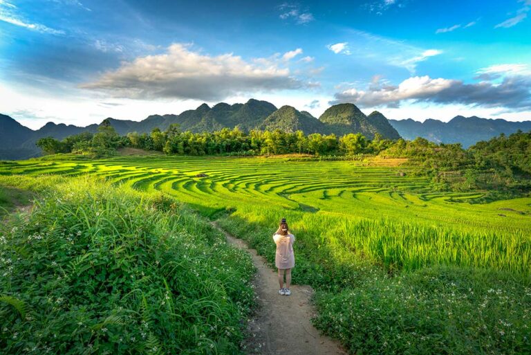 Reiziger tijdens trekking door rijstterrassen in Pu Luong Nature Reserve, met smal pad tussen de velden en bergen op de achtergrond