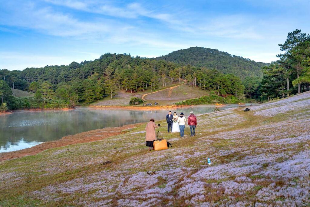 Trouwfotoshoot in de heuvels rond Da Lat met paarse bloemen en dennenbossen, een populaire setting voor huwelijksfotografie in Vietnam.