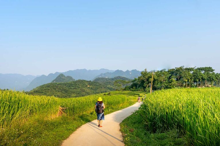 Wandeling over een smal pad door rijstvelden in Pu Luong Nature Reserve, met reiziger, terrasvormige akkers en bergachtig landschap