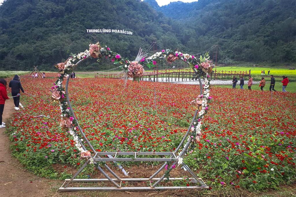 Bloemenveld in Bac Son Flower Valley met decoratieve fotospots en bergen op de achtergrond