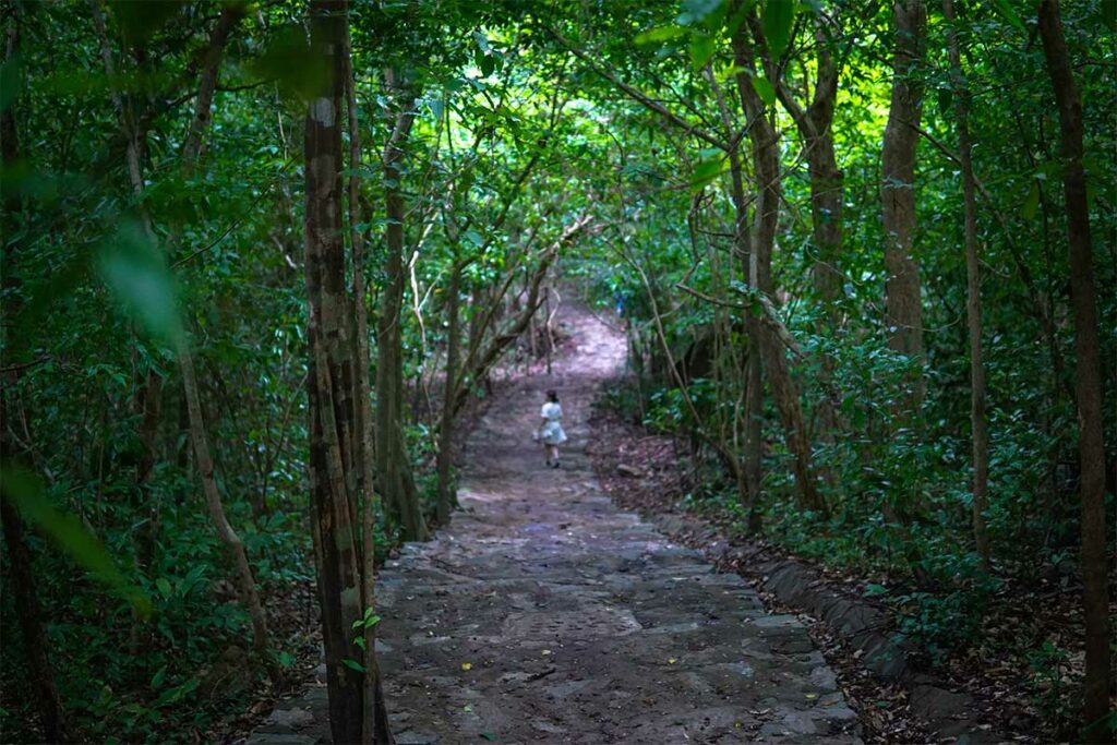 Trekking pad door dicht regenwoud richting Dat Tham Beach in Con Dao National Park met wandelaar op het bospad
