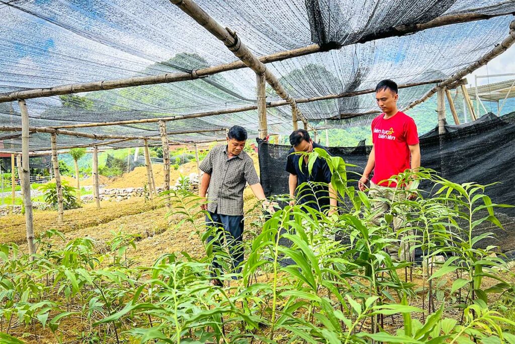 Lokale bewoners werken met medicinale planten in Bac Son Valley in Noord Vietnam