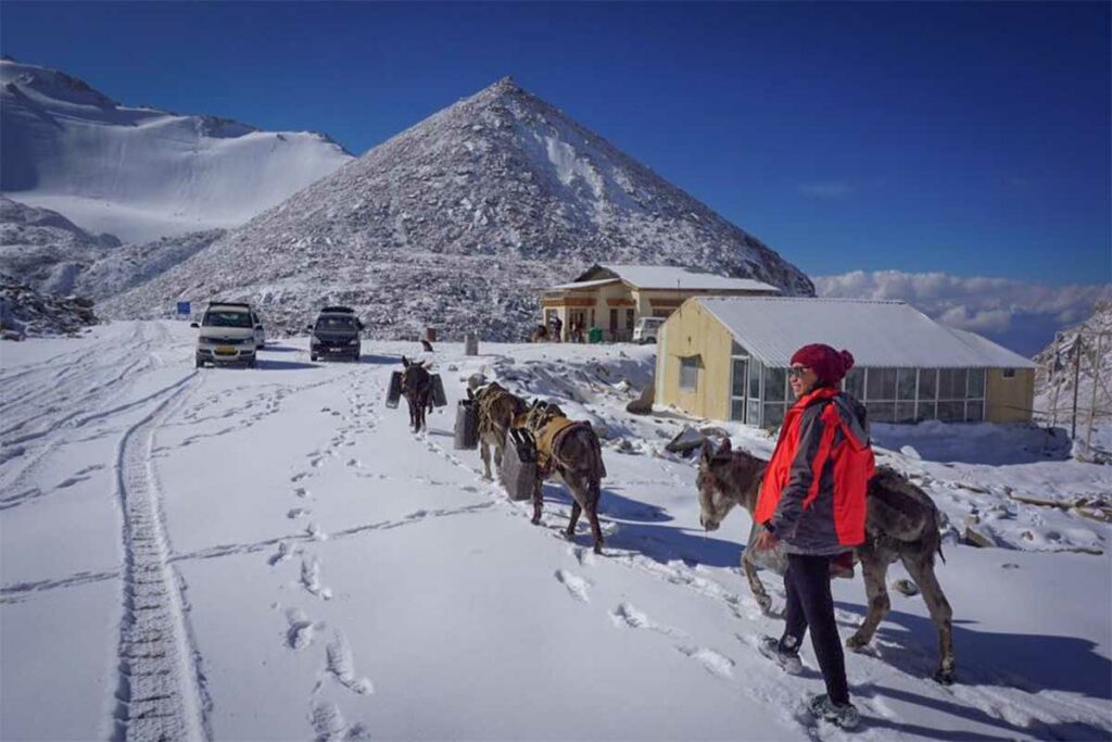 Nhung Phung van het Local Vietnam team tijdens een reis door het besneeuwde berglandschap van Ladakh in India met ezels op de bergweg